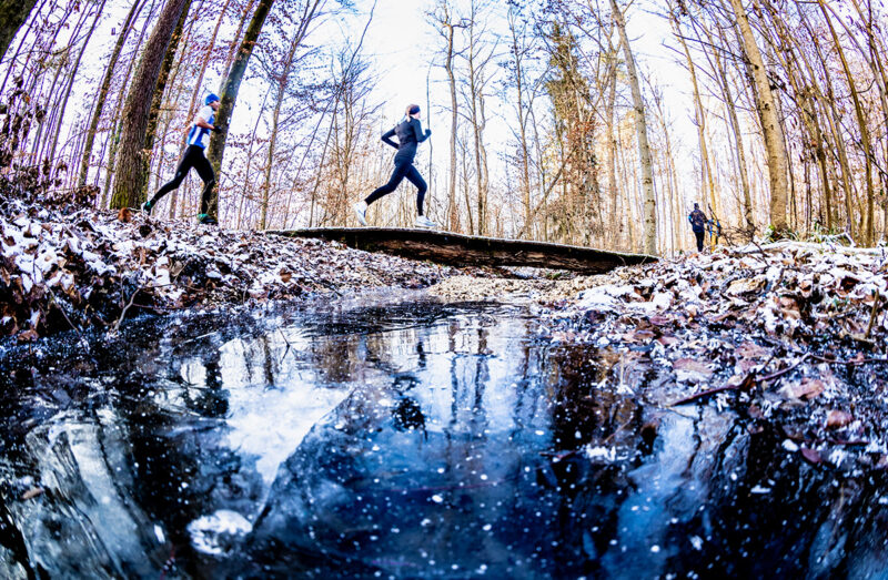 Winterlauf-Wald-Bruecke-Wasser-alb-gold